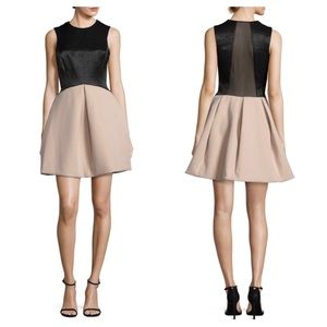 Halston Heritage Pleated Fit & Flare Dress